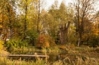 Staw i pomost Dwór Wola Sękowa